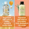 Herbal Sugar High Moisturizing Cream Collection (2.25 oz) for Travel Trips
