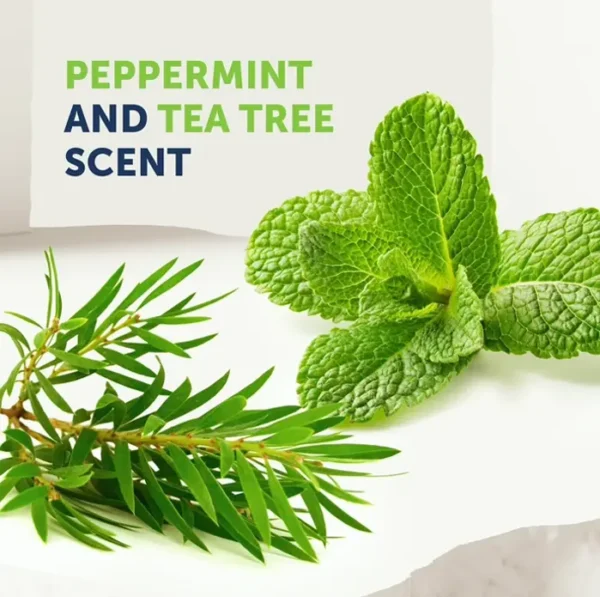 Organic Remedy Tea Tree Oil Body Wash against Odor, Issues