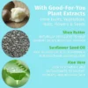 Herbal Sugar High Moisturizing Cream Collection (2.25 oz) for Travel Trips
