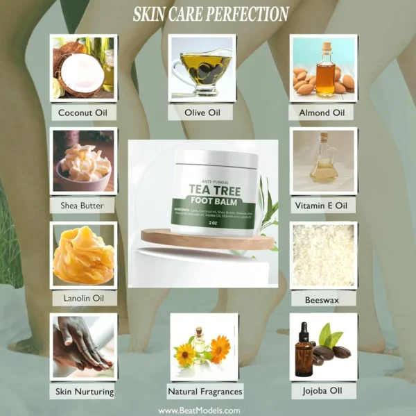 Crafted Tea Tree Salve - Foot Care, Nourish, Anti-Fungal - 2 oz