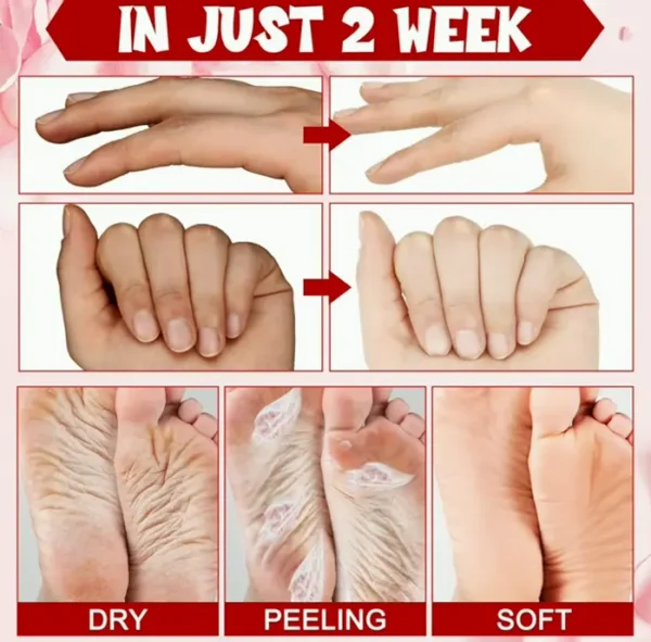 Twenty-Four Set Hydrating Glove & Foot Mask with Aloe Vera Butter