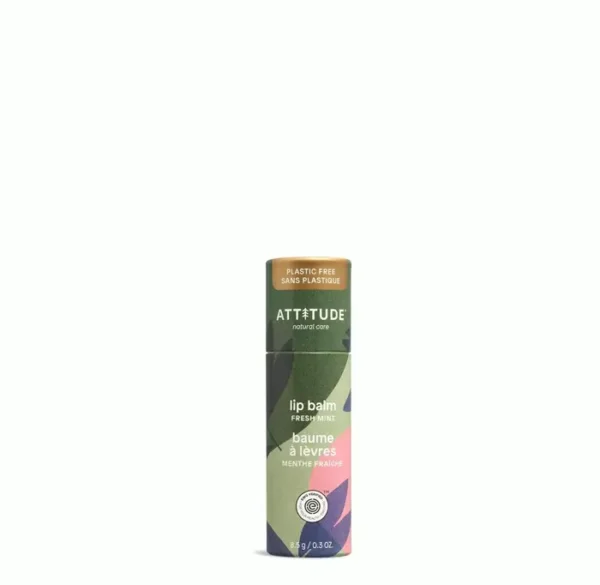 Eco-friendly Lip Balm, Mint Flavor Blend, 0.3 Oz